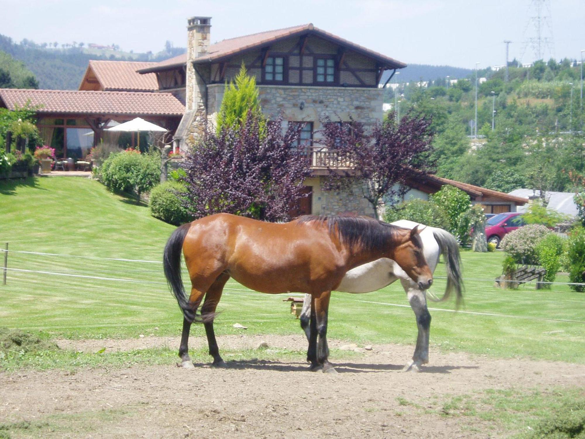 Casa Rural Erdikoetxe Galdakao Esterno foto