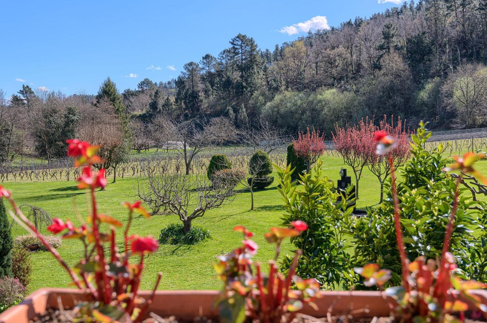 Casa Rural Erdikoetxe Galdakao Esterno foto